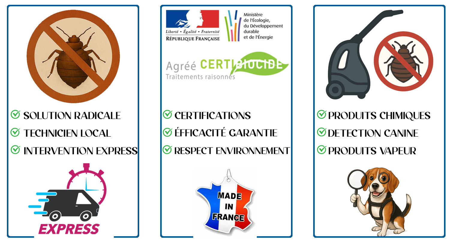 Punaises de Lit Le Plessis Trevise